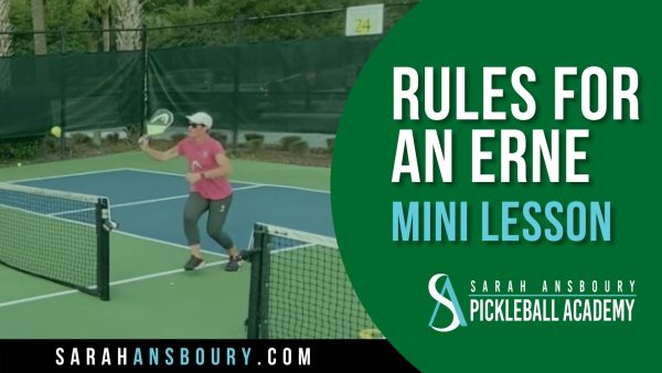 Rules For An Erne - Mini Lesson with Sarah Ansboury